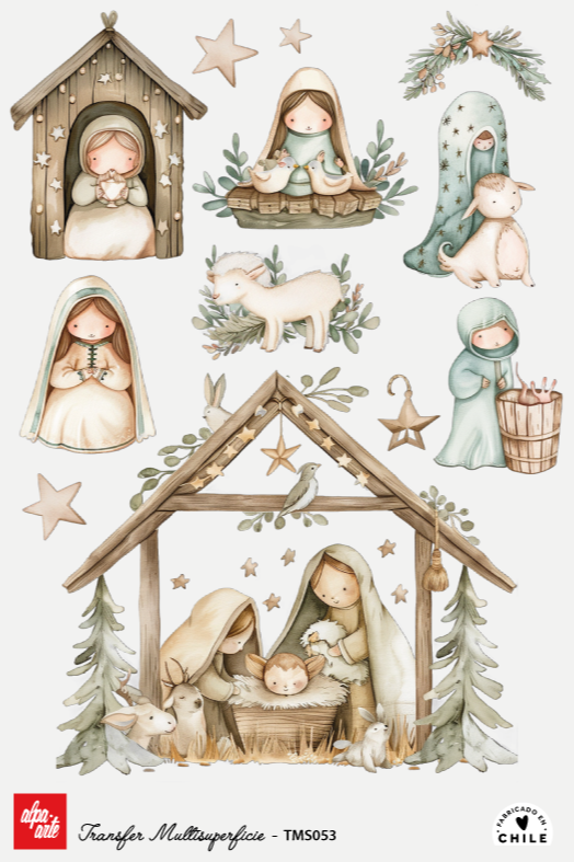 Transfer Multisuperficie TMS053