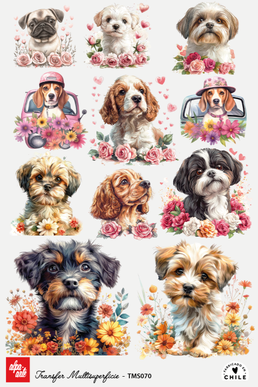 Transfer Multisuperficie TMS070