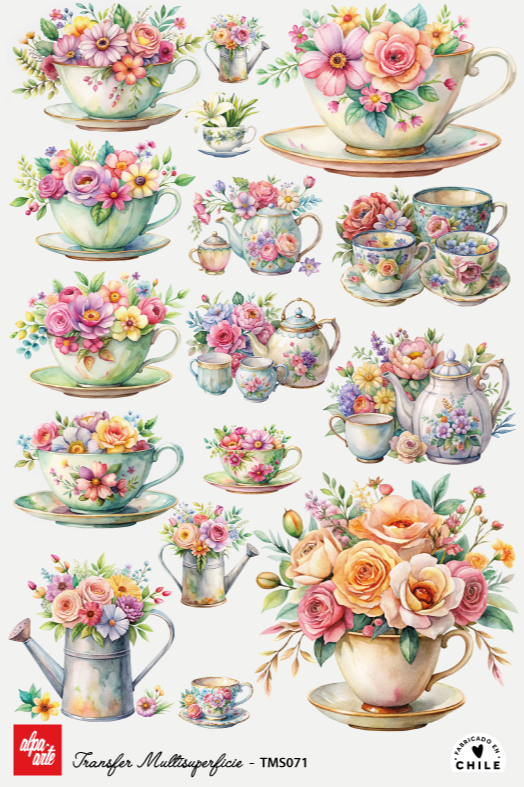 Transfer Multisuperficie TMS071