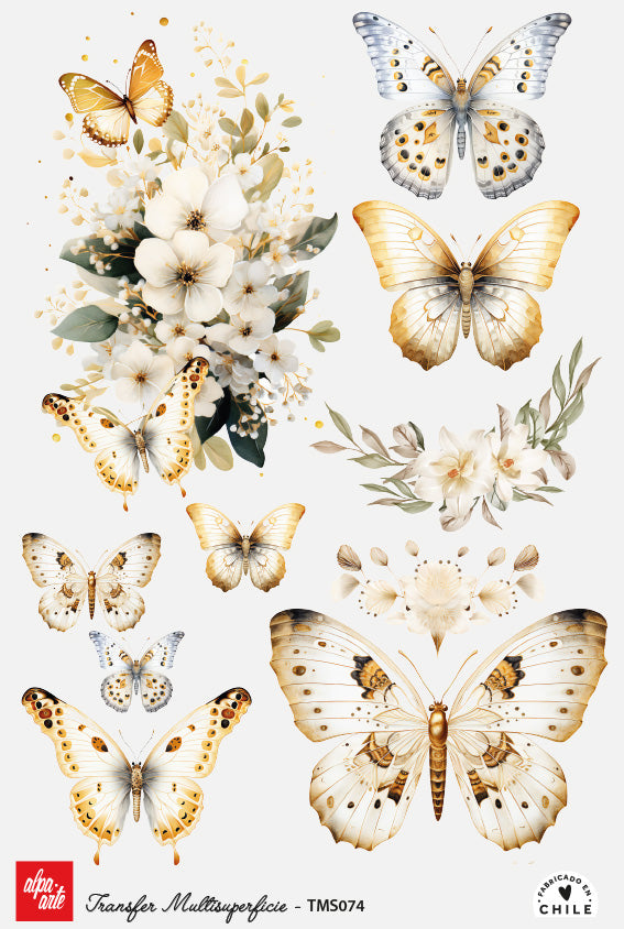 Transfer Multisuperficie TMS074