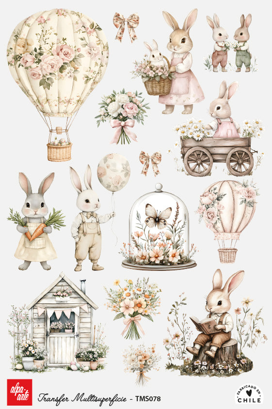 Transfer Multisuperficie TMS078