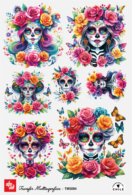 Transfer Multisuperficie TMS084