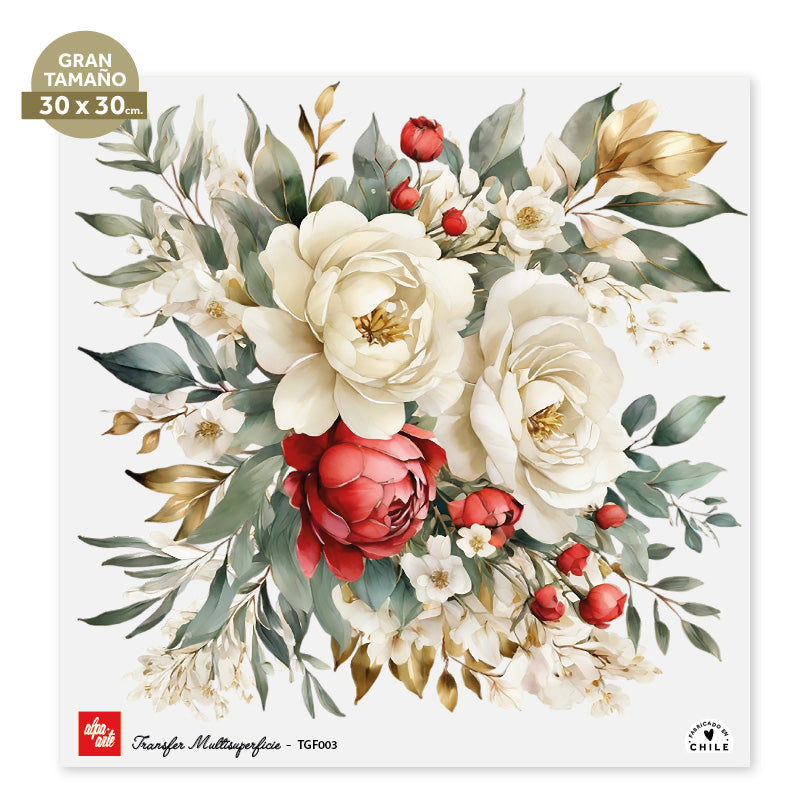 Transfer Multisuperficie 30x30 TGF003