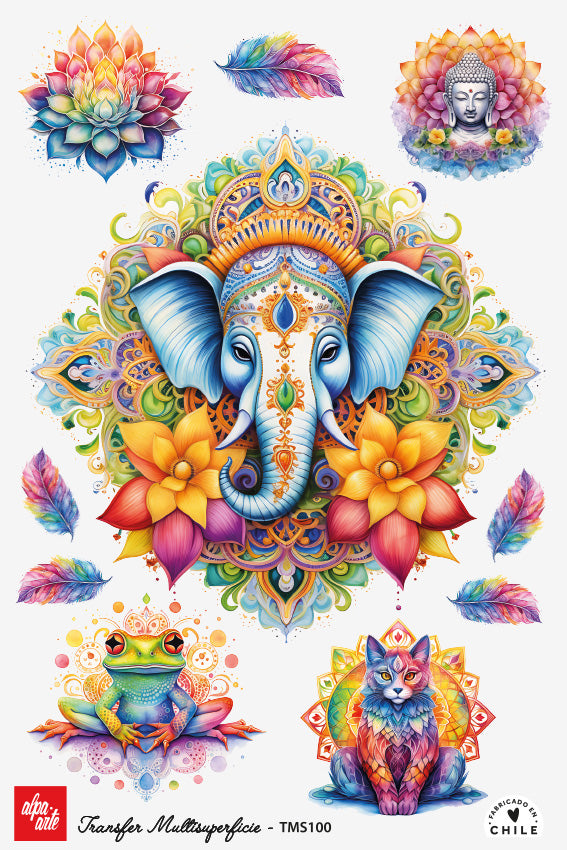 Transfer Multisuperficie TMS100