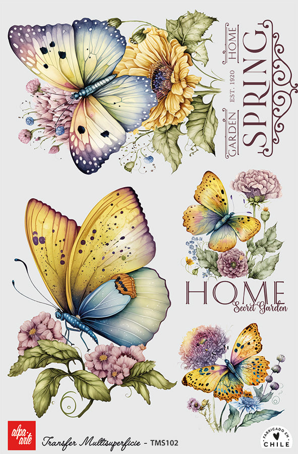 Transfer Multisuperficie TMS102