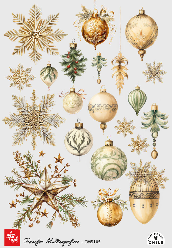 Transfer Multisuperficie TMS105