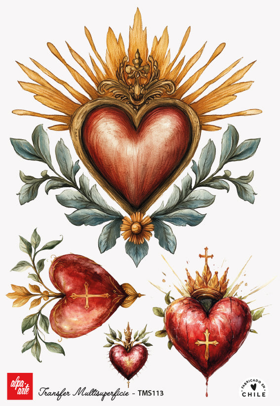 Transfer Multisuperficie TMS113