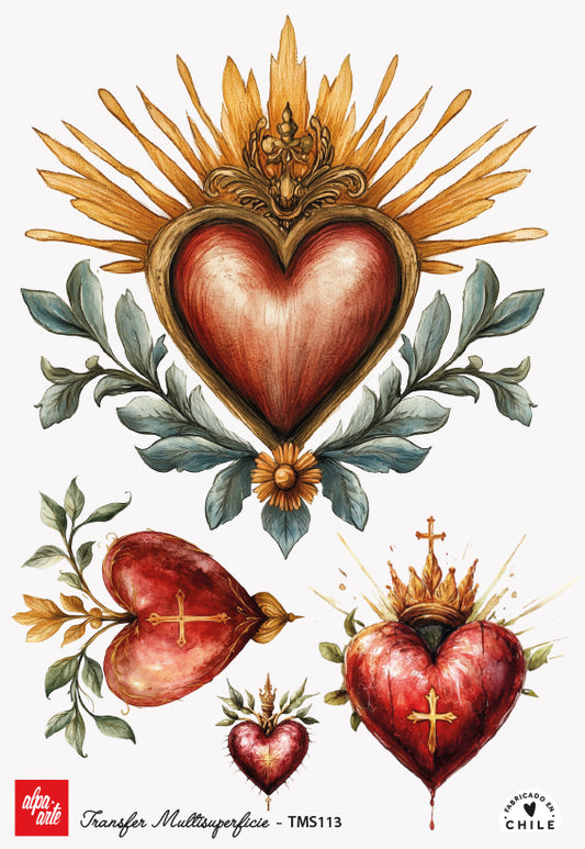 Transfer Multisuperficie TMS113