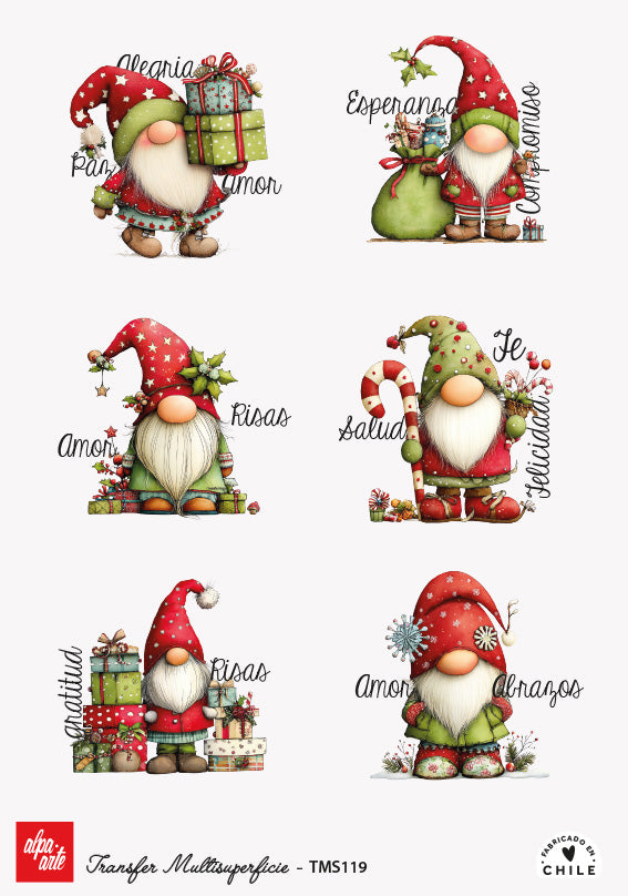 Transfer Multisuperficie TMS119