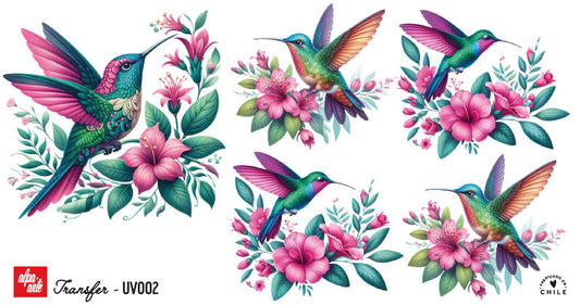 Transfer UV - UV002